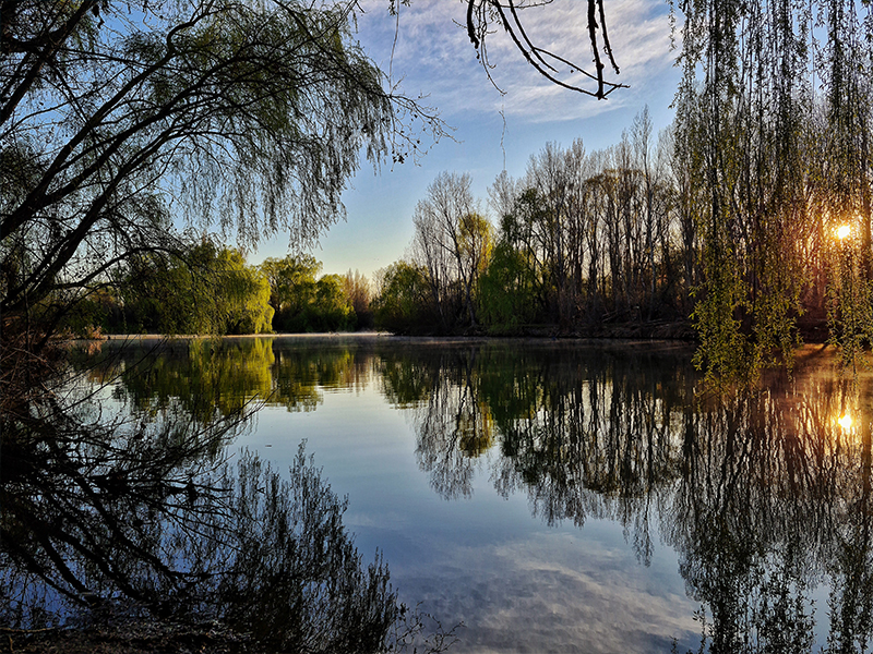 Wavelength Structure